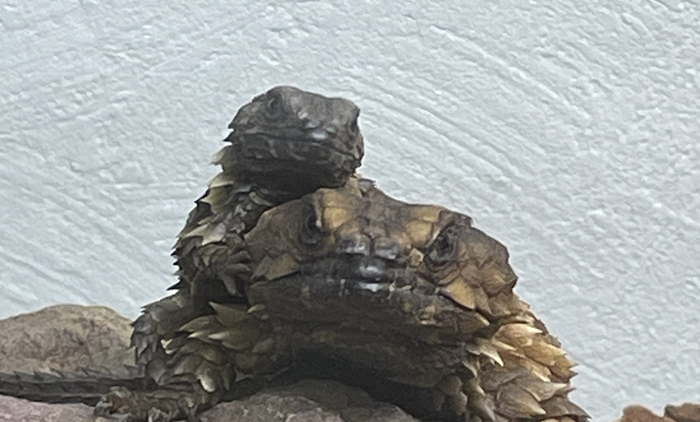 Featured image of the post