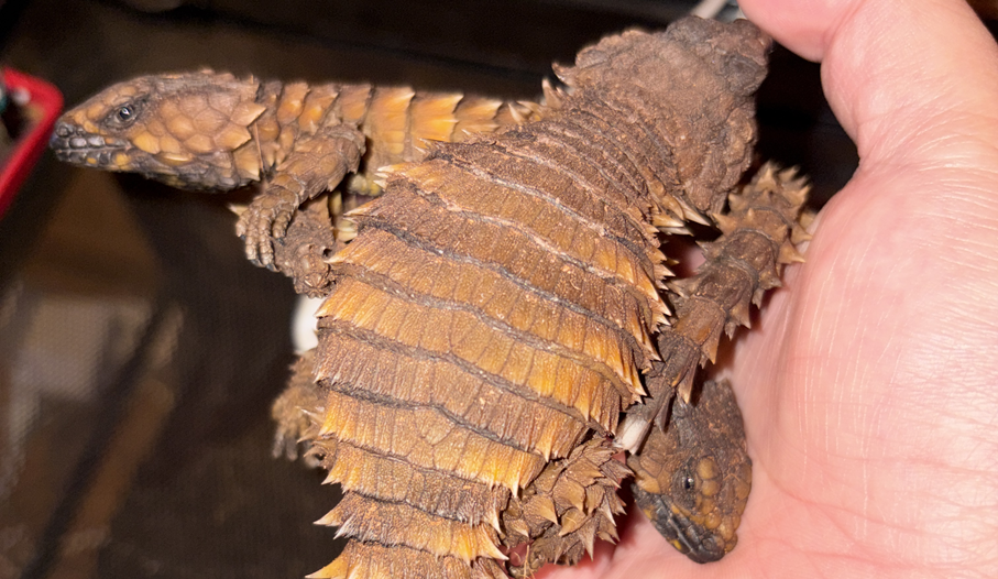 Featured image of the post