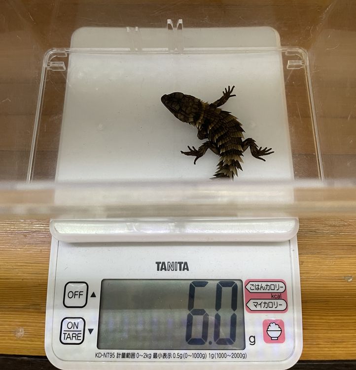 Image in a image block