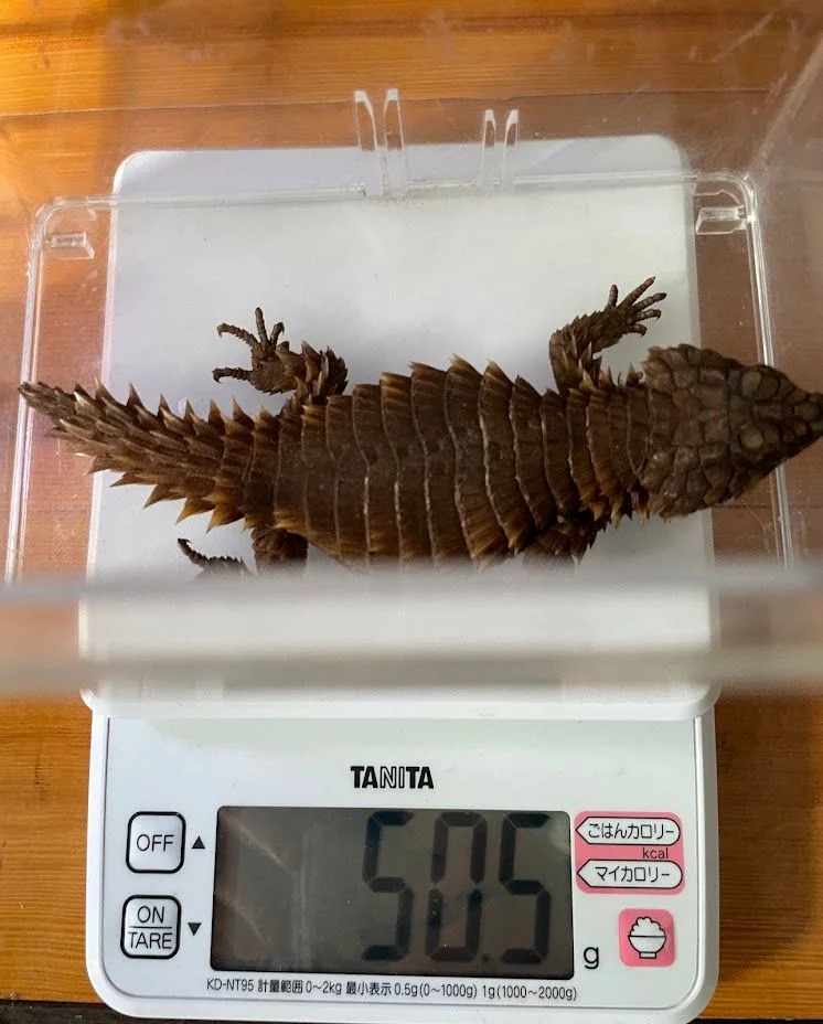 ちょっと重め